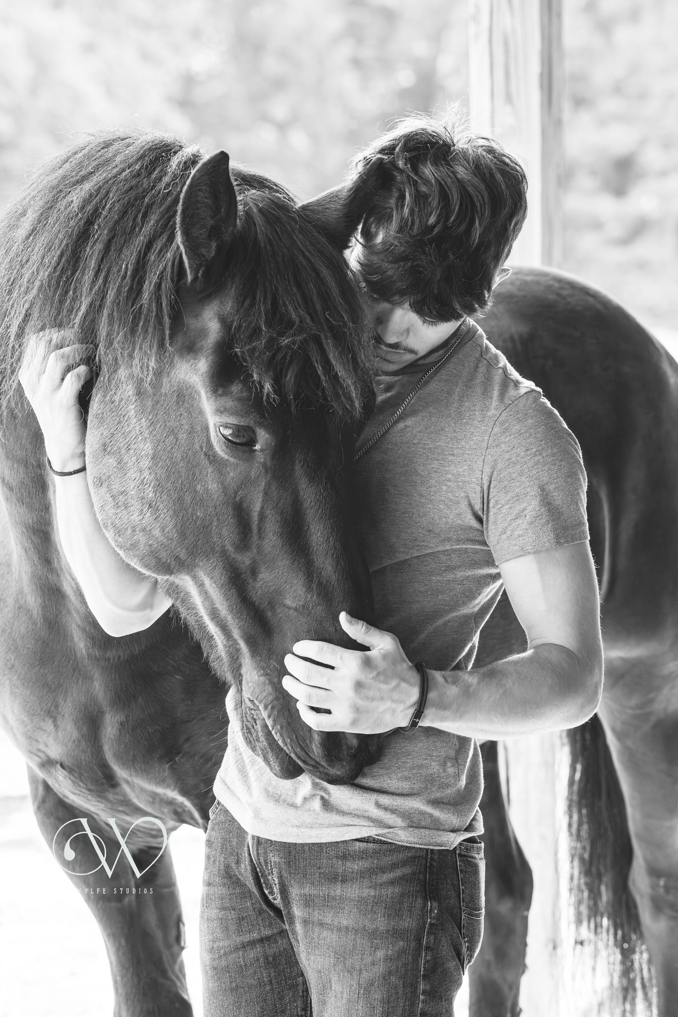 Elegant portrait of horse highlighting strength and beauty